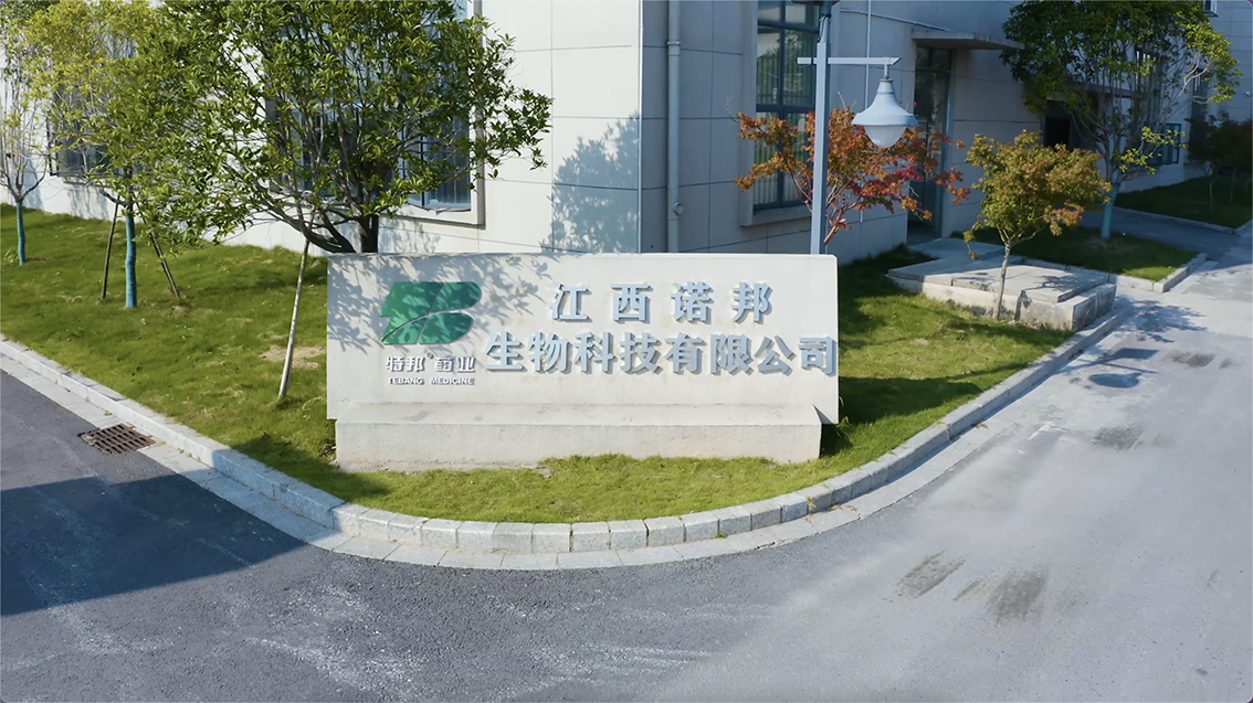 厂区风貌